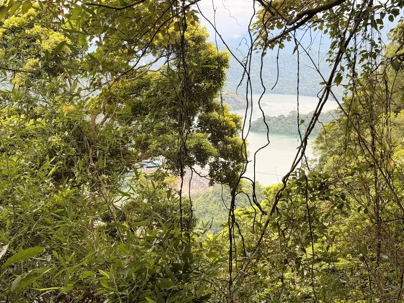 shimenmt2212 龍潭-石門山 小百岳賞石門水庫 O型路線很輕鬆