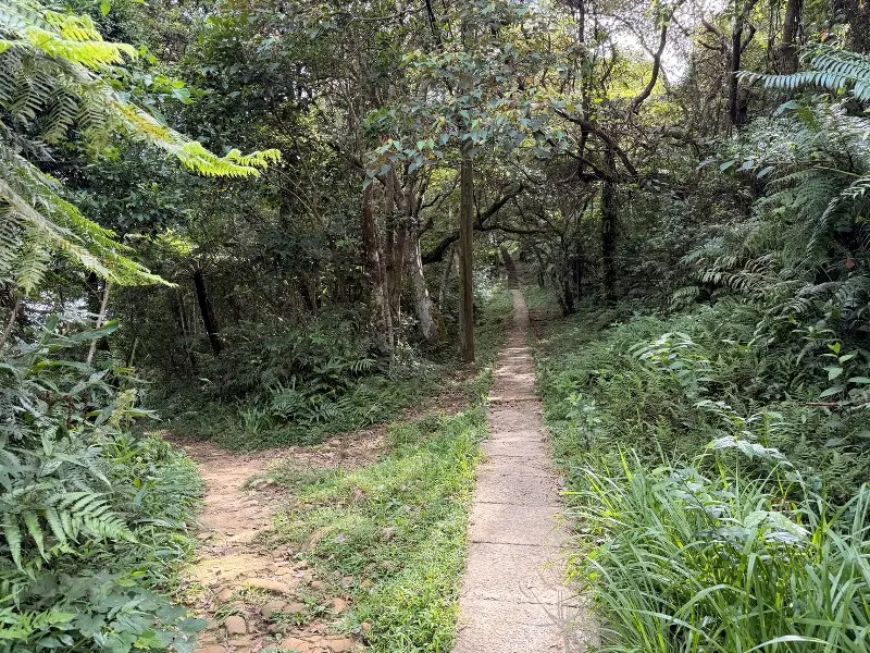 shimenmt2214 龍潭-石門山 小百岳賞石門水庫 O型路線很輕鬆