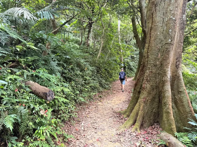 shimenmt2224 龍潭-石門山 小百岳賞石門水庫 O型路線很輕鬆