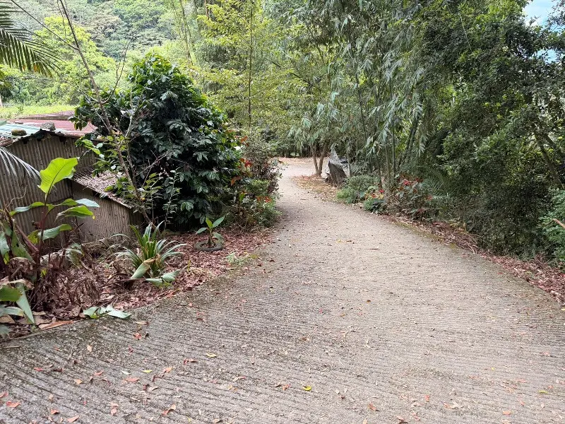 shimenmt2225 龍潭-石門山 小百岳賞石門水庫 O型路線很輕鬆