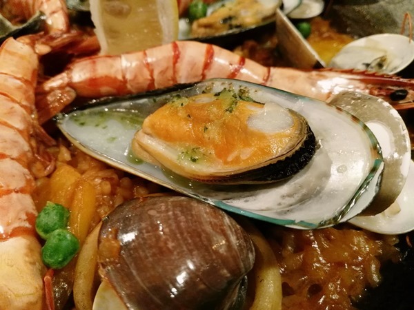 Paella17 竹北-Paella Bistro西班牙菜風味佳