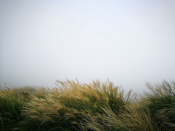 chixinmt23 陽明山-登七星山而小台北 台北第一高峰