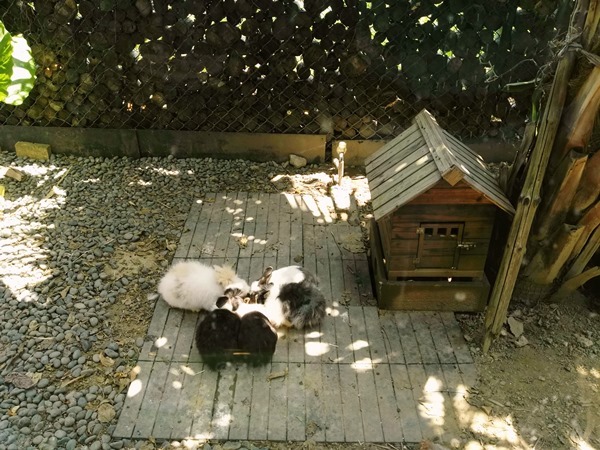 drawing11 竹北-畫盒子 可愛小餐廳竟然近在咫尺 舒適輕鬆的環境貼心的服務