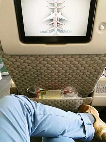 flykyoto08 201605台北關西 夏娃菁英艙 感謝免費機票一張